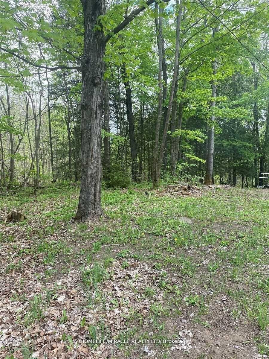 3460 Harburn Road, Dysart et al, ON K0M 1M0, Dysart et al — photo 1