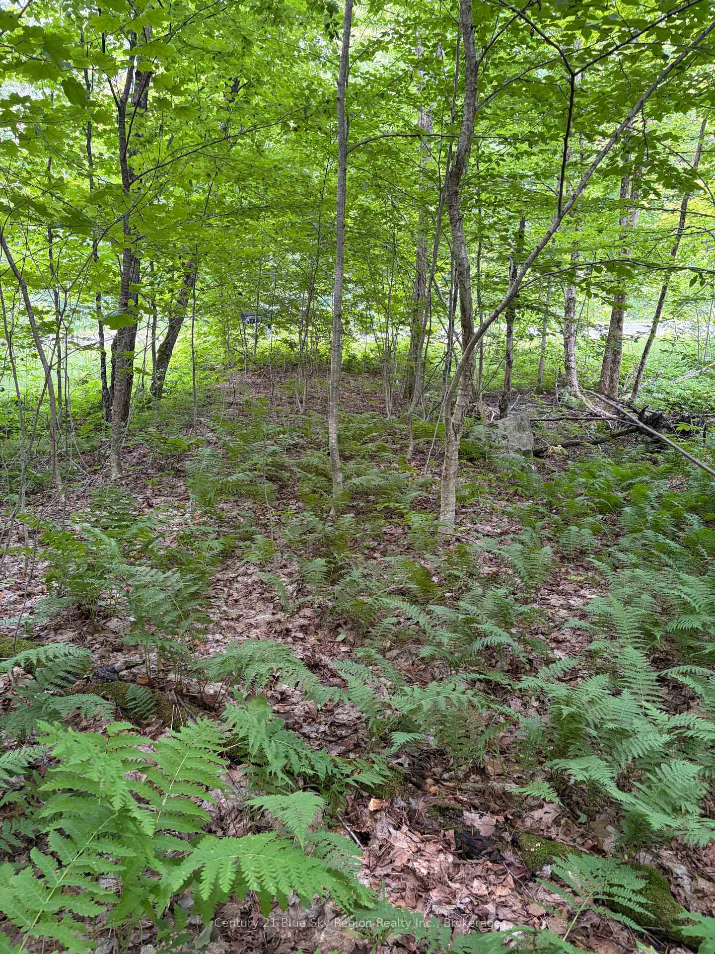 Part Lot 11 & 12 Chikopi Road, Magnetawan, ON P0A 1P0, Magnetawan — photo 1