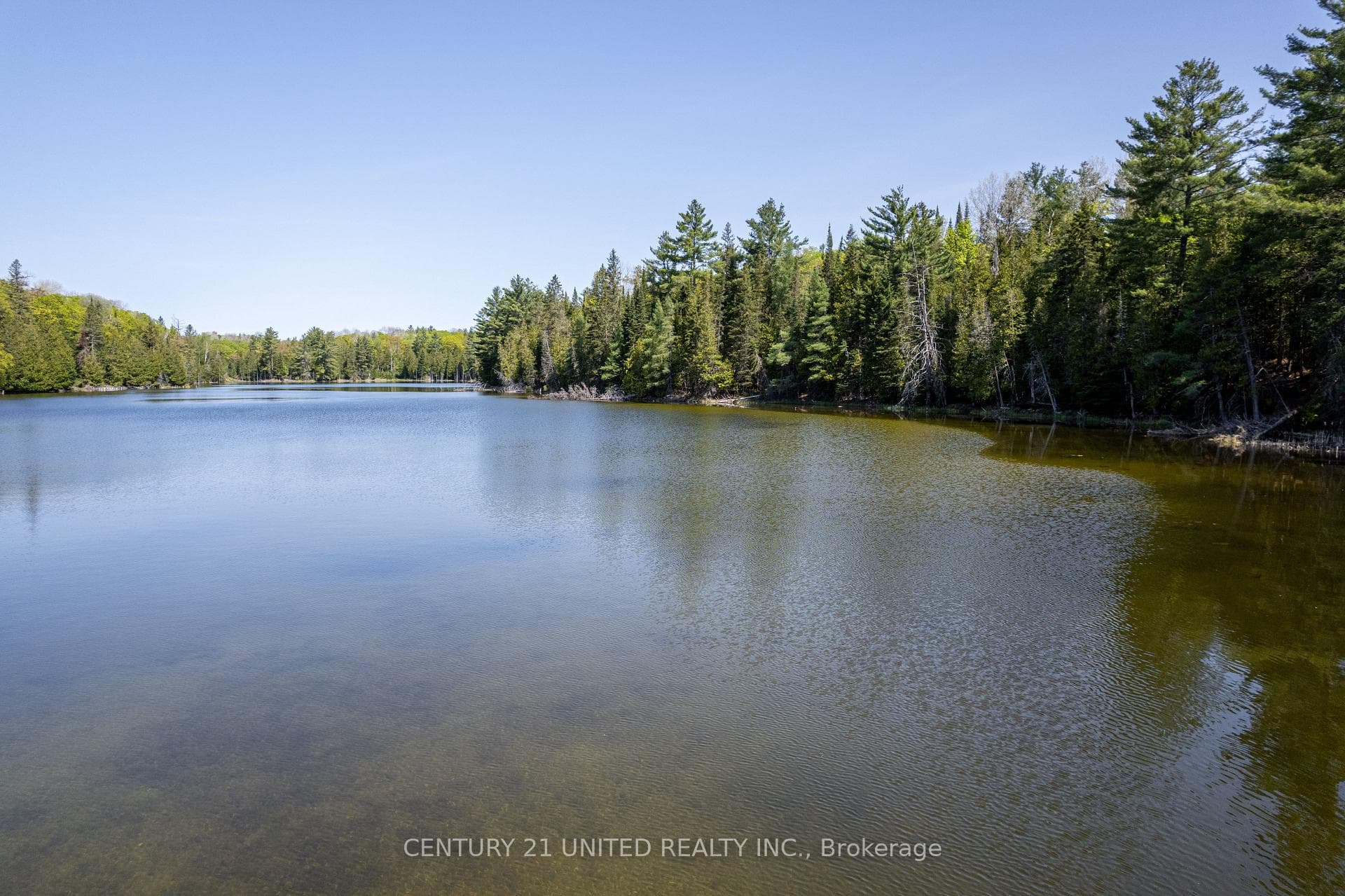 0 Johnson Road, North Kawartha, ON K0L 1A0, North Kawartha — photo 1
