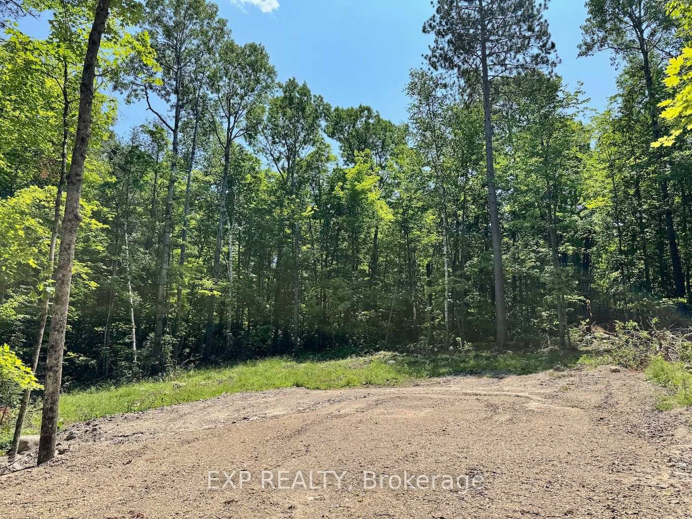 Lot 16 Lakewoods Drive, Madawaska Valley, ON K0J 1B0, Madawaska Valley — photo 1