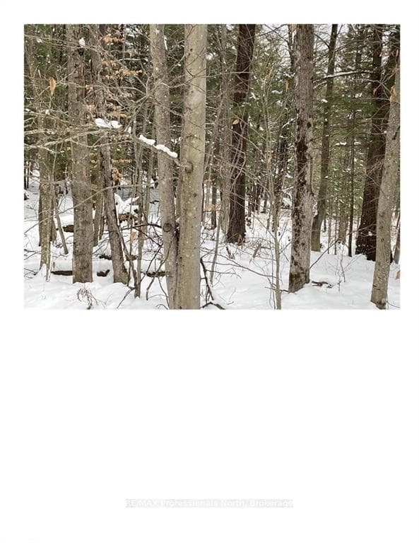 0 FERN GLEN Road, Perry, ON P0A 1J0, Perry — photo 1