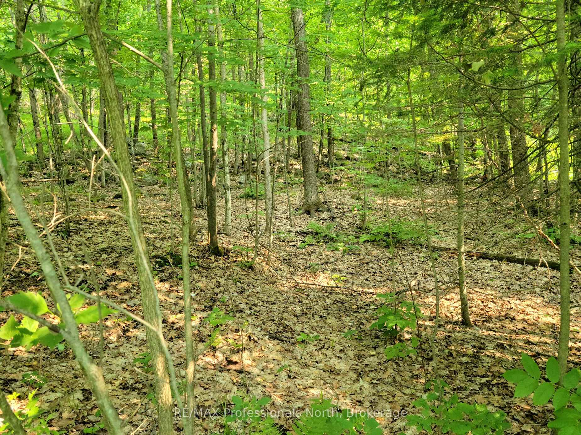 32 MOUNT VERNON Trail 22, Huntsville, ON P1H 1E3, Huntsville — photo 1