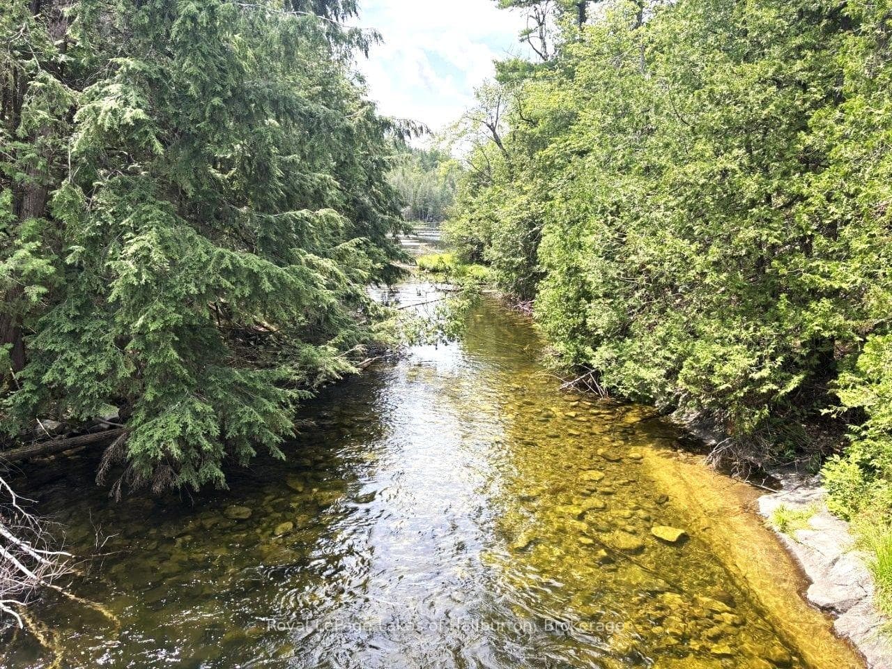Beside 1456 Crystal Lake Road, Trent Lakes, ON K0M 2A0, Trent Lakes — photo 1