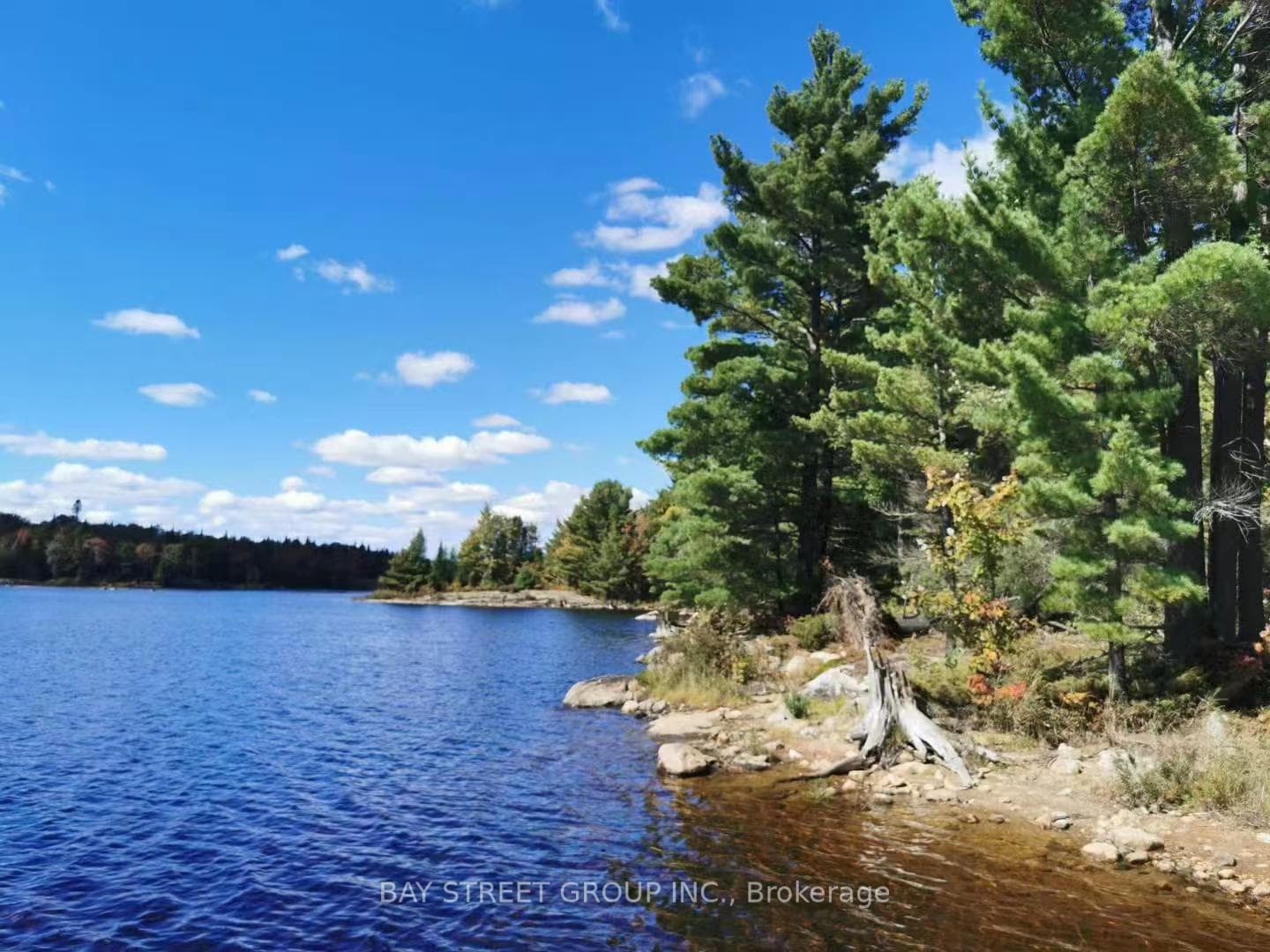 157 Lake Vision Road, McMurrich/Monteith, ON P0A 1P0, McMurrich/Monteith — photo 1