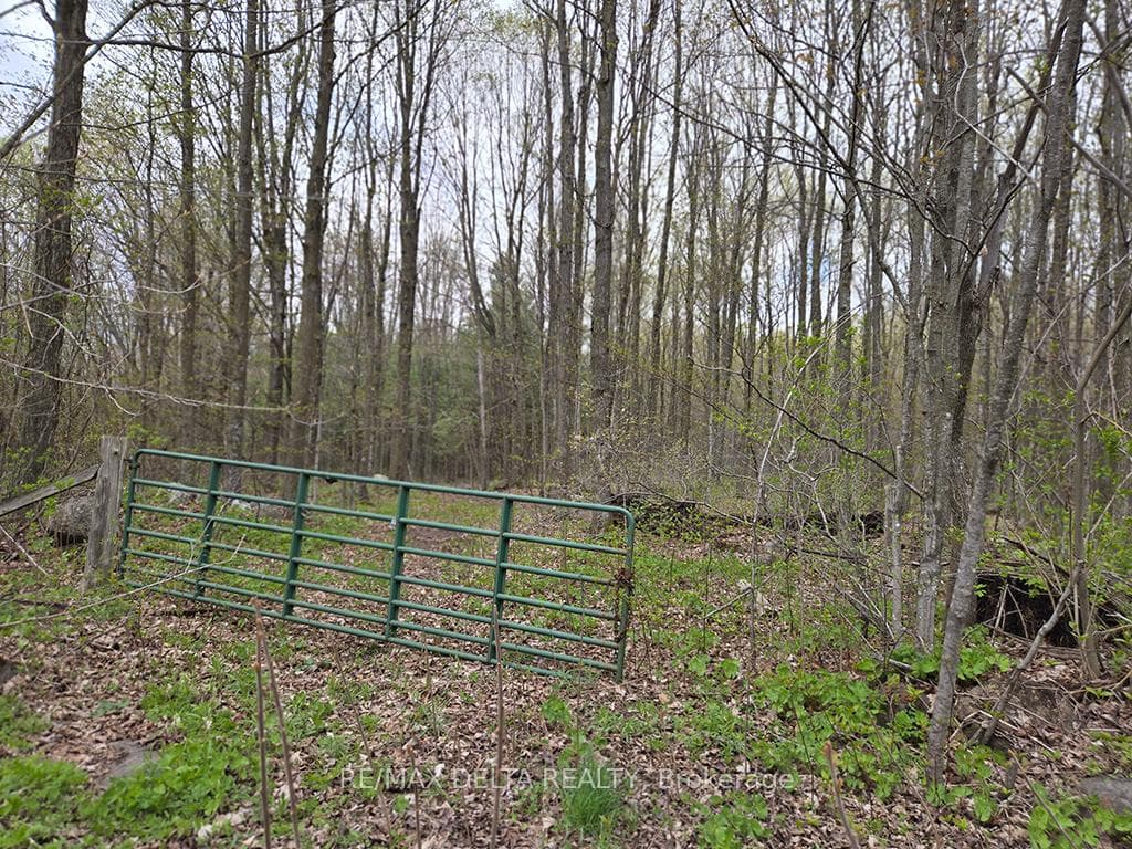 000 Concession 5 Road, North Glengarry, ON K0C 1A0, North Glengarry — photo 1