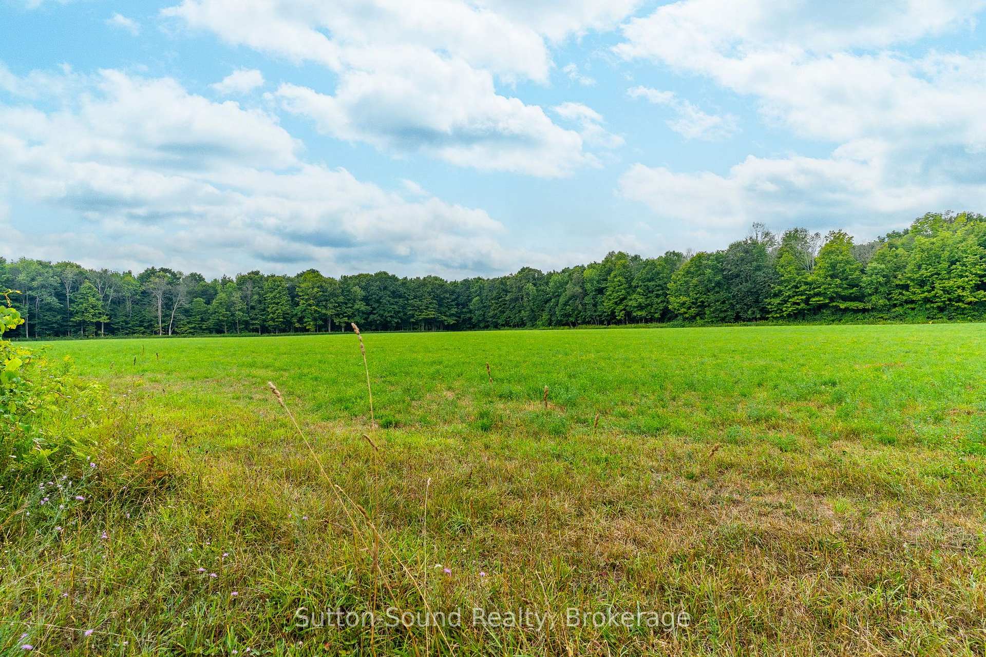 PT LT 35-36 Centre Diagonal Road, South Bruce Peninsula, ON N0H 2T0, South Bruce Peninsula — photo 1