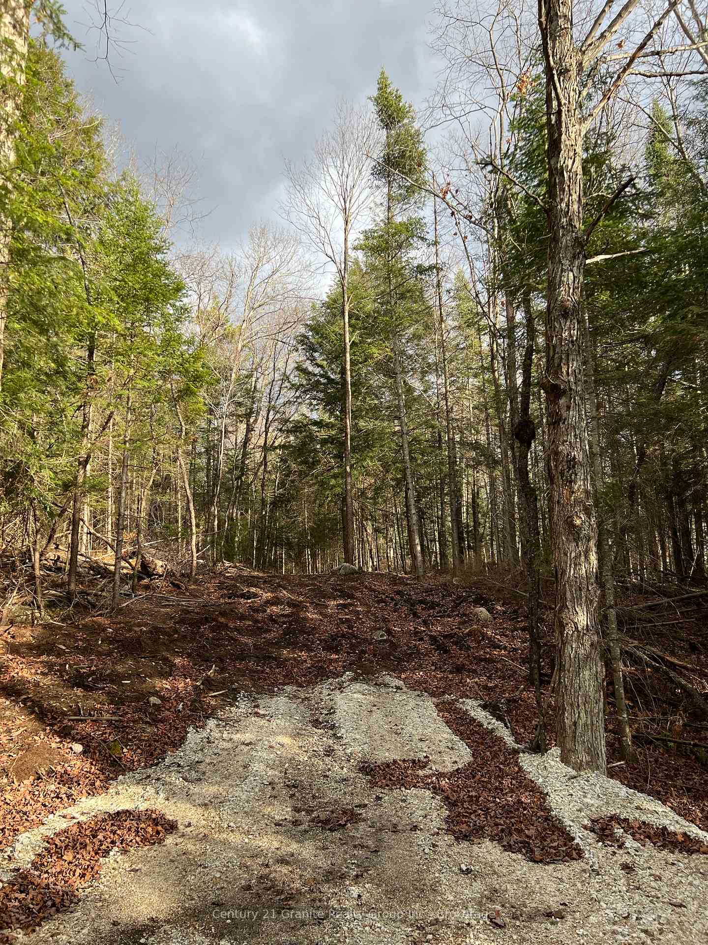 LOT 27 BUSHWOLF LAKE Road, Dysart et al, ON K0M 1S0, Dysart et al — photo 1