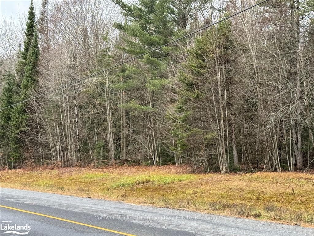 LOTS 1, 2 & 3 HIGHWAY 518 W, McMurrich/Monteith, ON P0A 1Y0, McMurrich/Monteith — photo 1