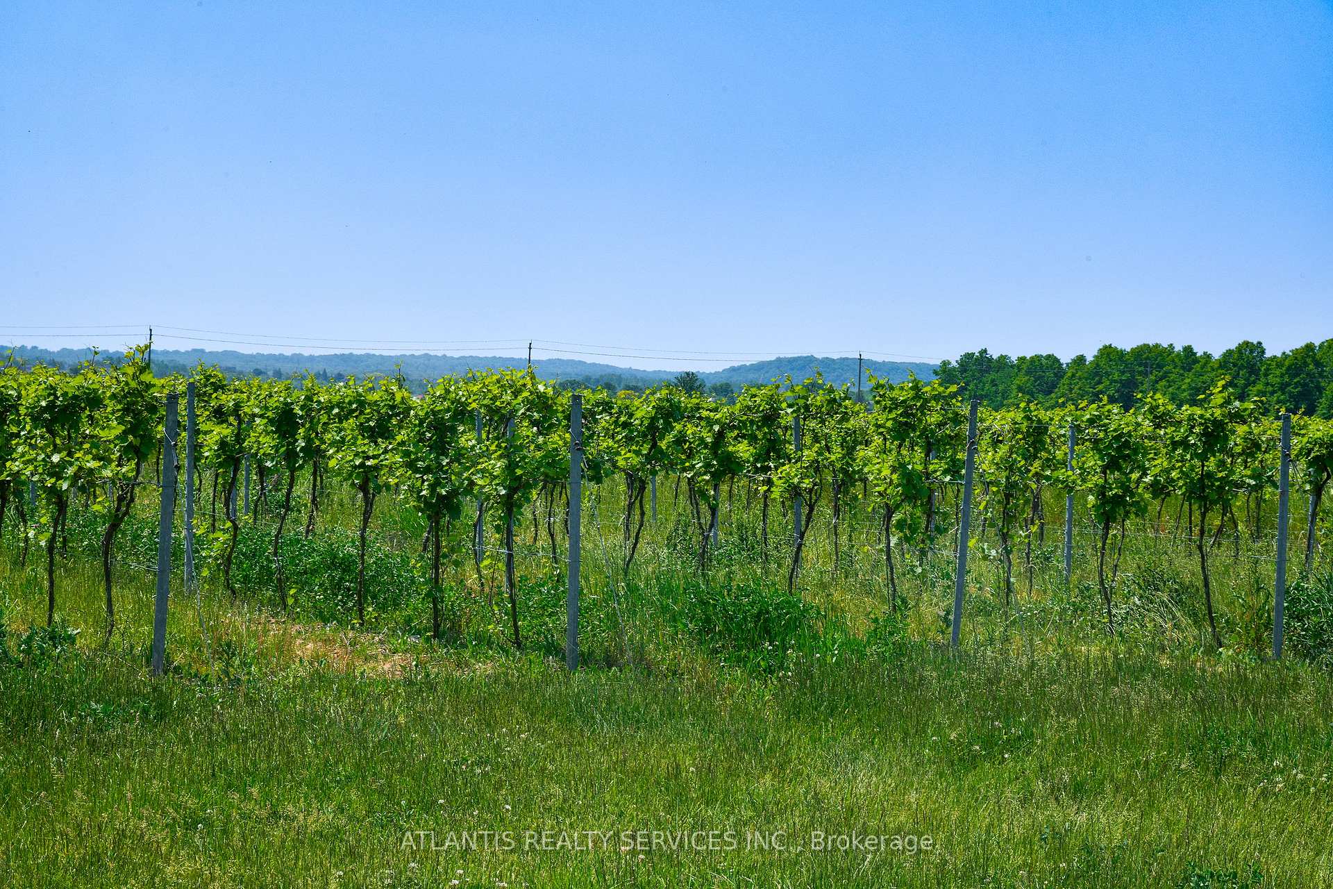 497 Line 5 Road S, Niagara-on-the-Lake, ON L0S 1T0, Niagara-on-the-Lake — photo 1
