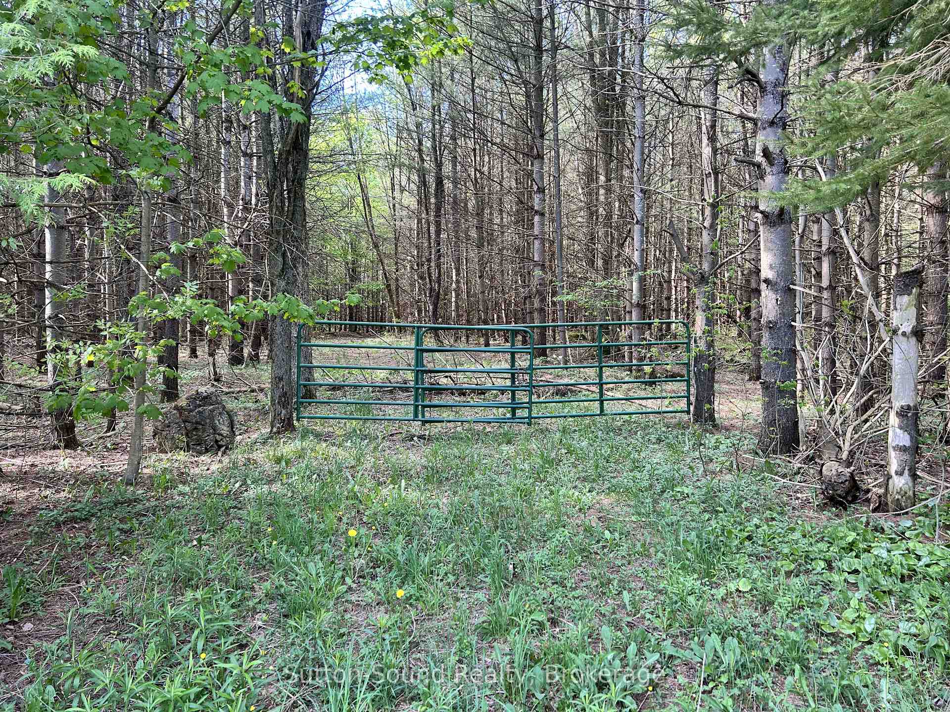 Lot 24 Concession 14 Keppel Concession, Georgian Bluffs, ON N0H 2K0, Georgian Bluffs — photo 1