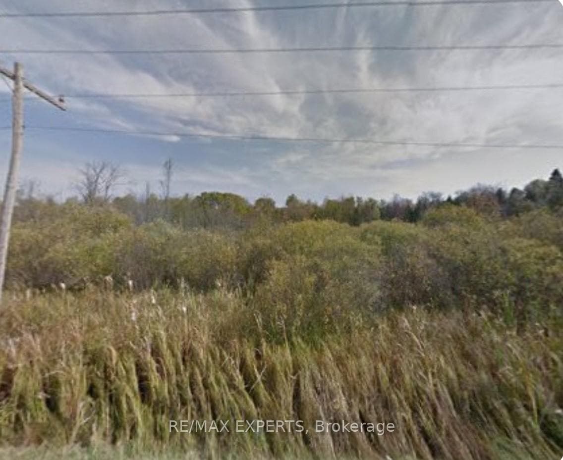 21620 York Durham Line, East Gwillimbury, ON L0E 1T0, East Gwillimbury — photo 1