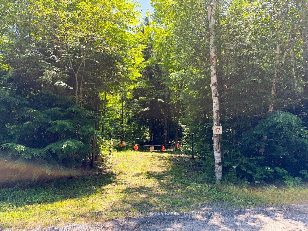 17 White Beaver Trail, McDougall, ON P2A 2W7, McDougall — photo 1