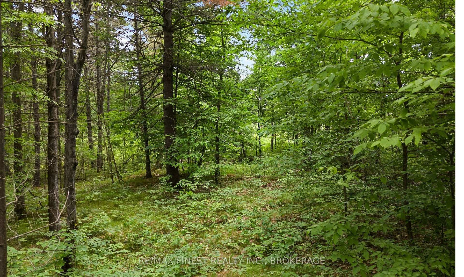 Lot 16 Echo Lake Road, Frontenac, ON K0H 2K0, Frontenac — photo 1