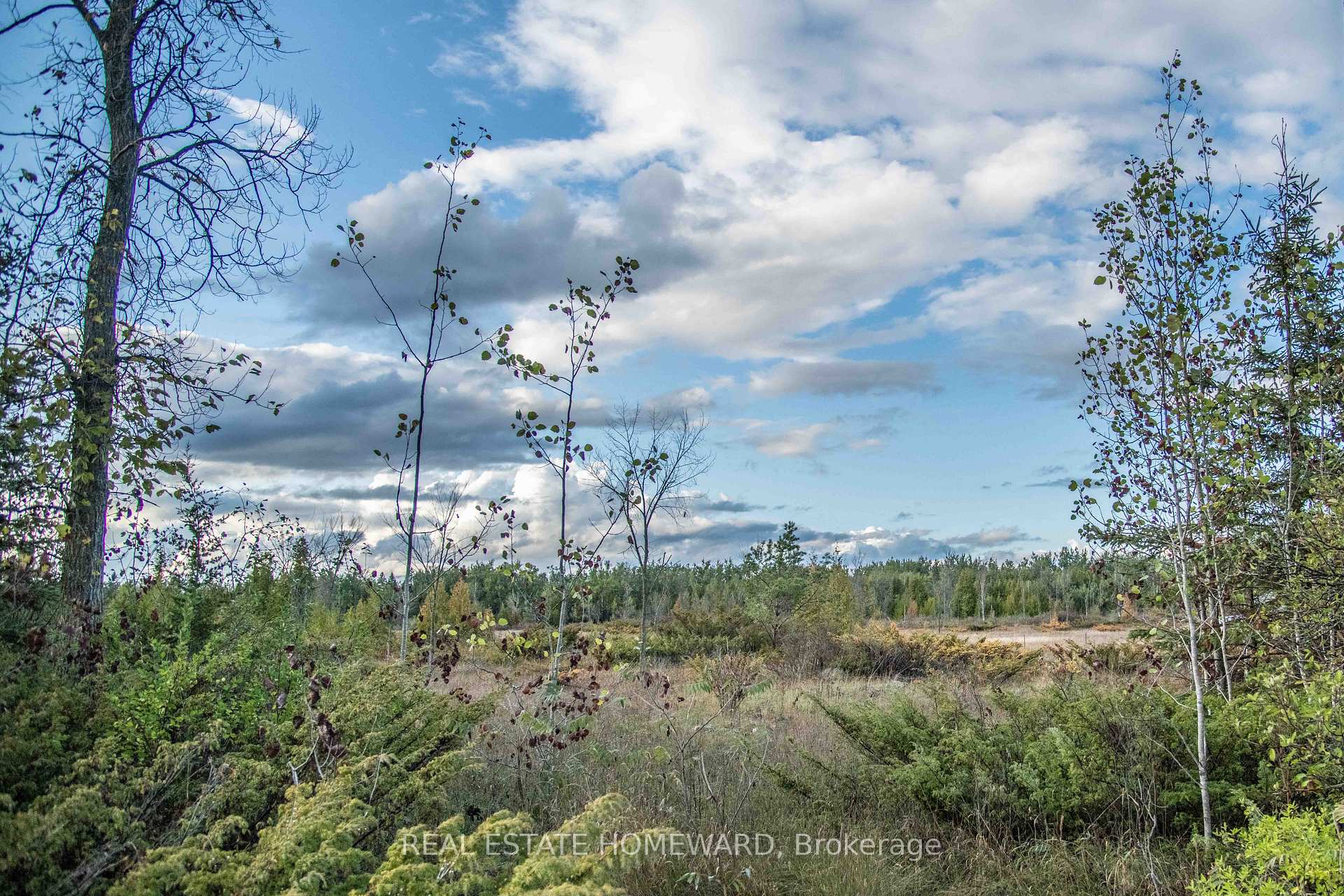 Lot 254 McGuire Beach Road, Kawartha Lakes, ON K0M 2B0, Kawartha Lakes — photo 1