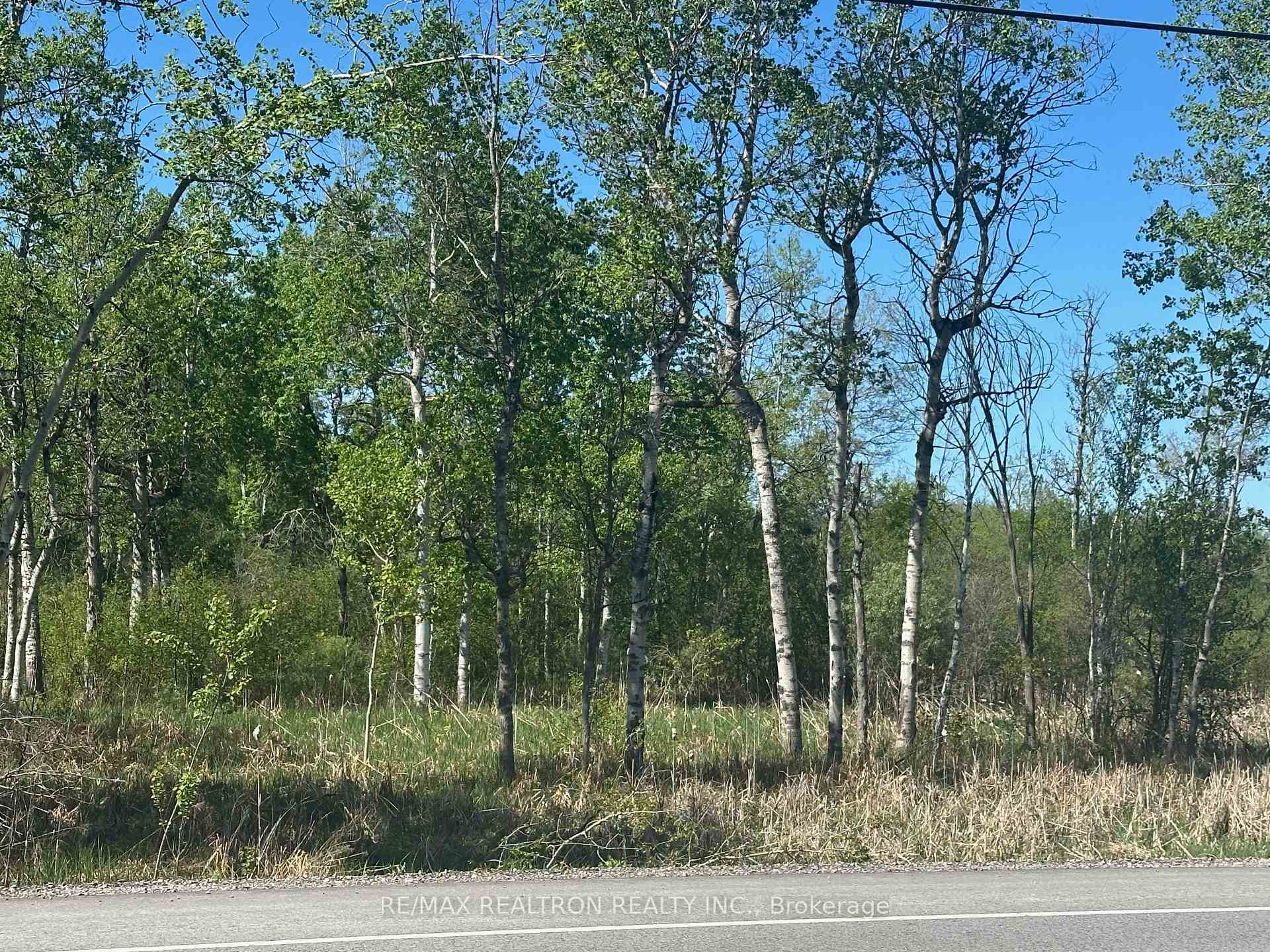 CON 7 PT LT 1 Ravenshoe Road, Georgina, ON L0E 1R0, Georgina — photo 1