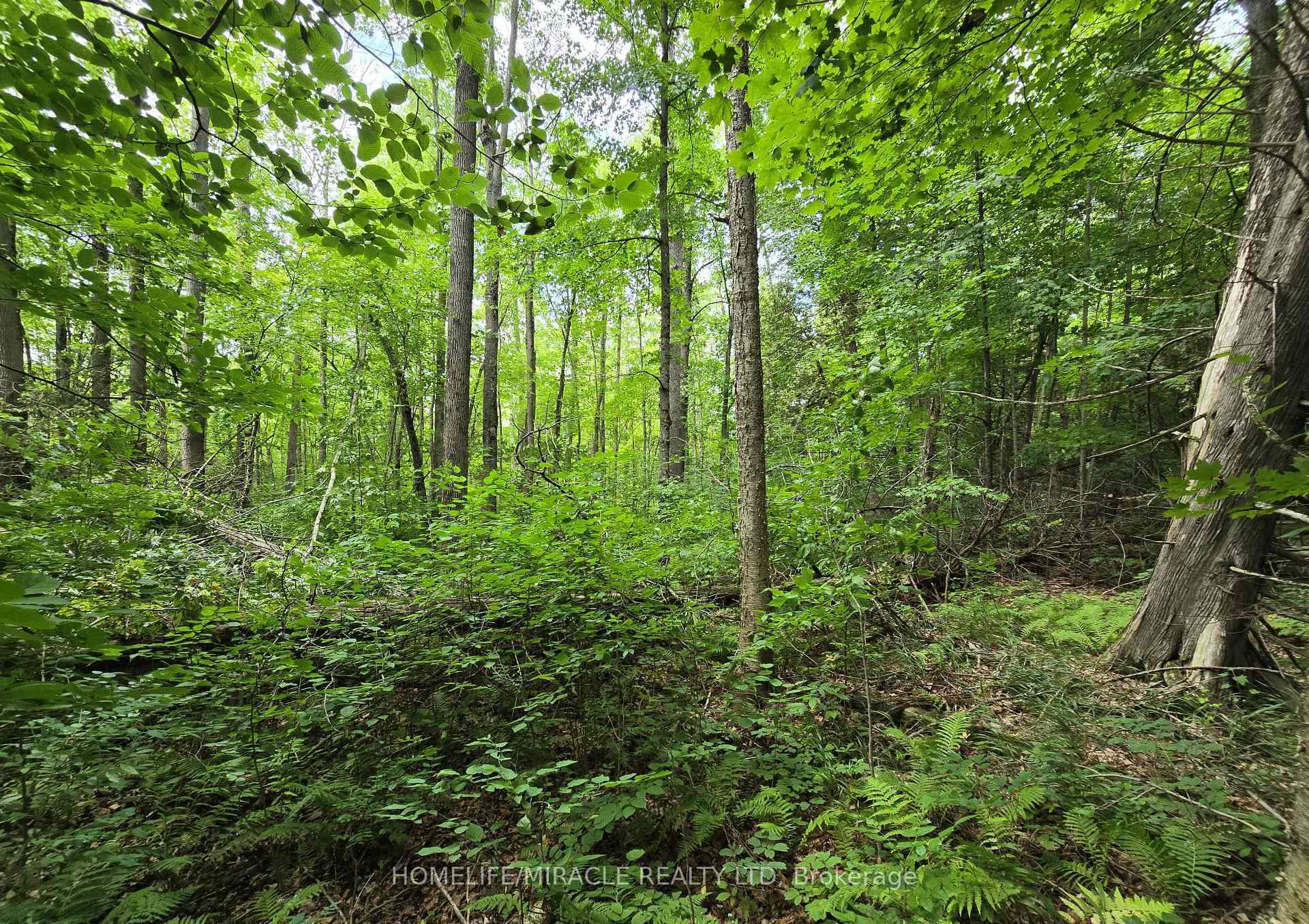 000 Cedar Sands Road, Rideau Lakes, ON K0E 1N0, Rideau Lakes — photo 1