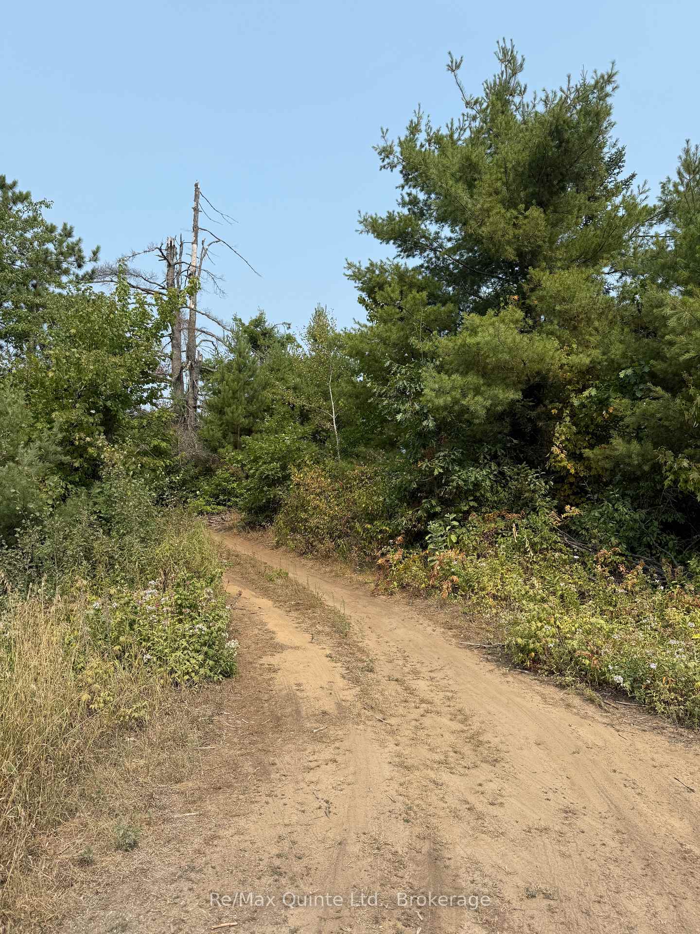 0 Potter Settlement Road, Tweed, ON K0K 3J0, Tweed — photo 1