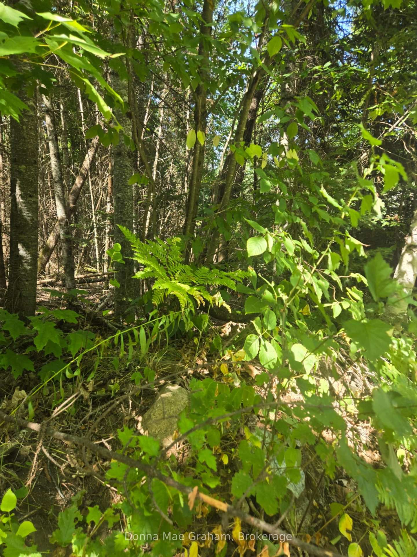 0 E MacDuff Road Acres E, Highlands East, ON K0L 3C0, Highlands East — photo 1