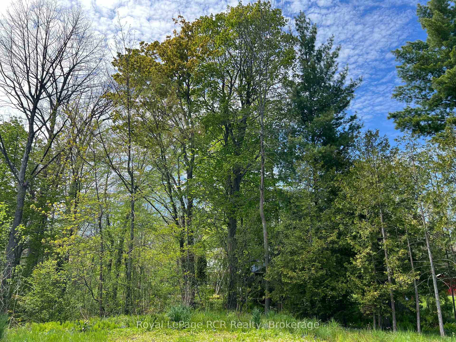 48 Gordon Crescent, Meaford, ON N4L 0A9, Meaford — photo 1