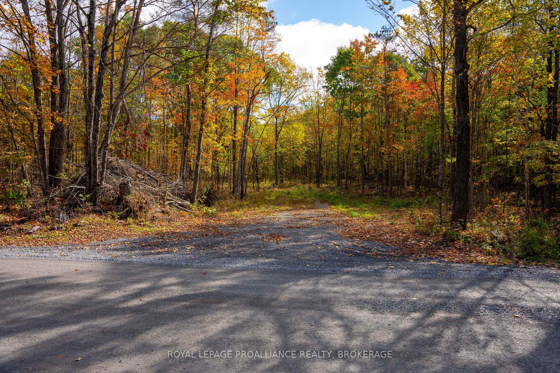 PT LTS 12 & 13 Devil Lake Road, South Frontenac, ON K0G 1X0, South Frontenac — photo 1