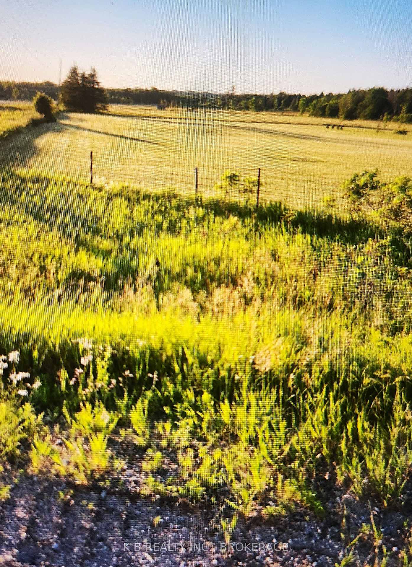 0 Sutherland Road, Whitewater Region, ON K0J 1K0, Whitewater Region — photo 1