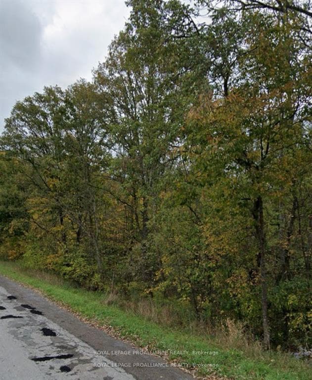 1222 Cooke Road Pt 1, Stirling-Rawdon, ON K0K 3E0, Stirling-Rawdon — photo 1