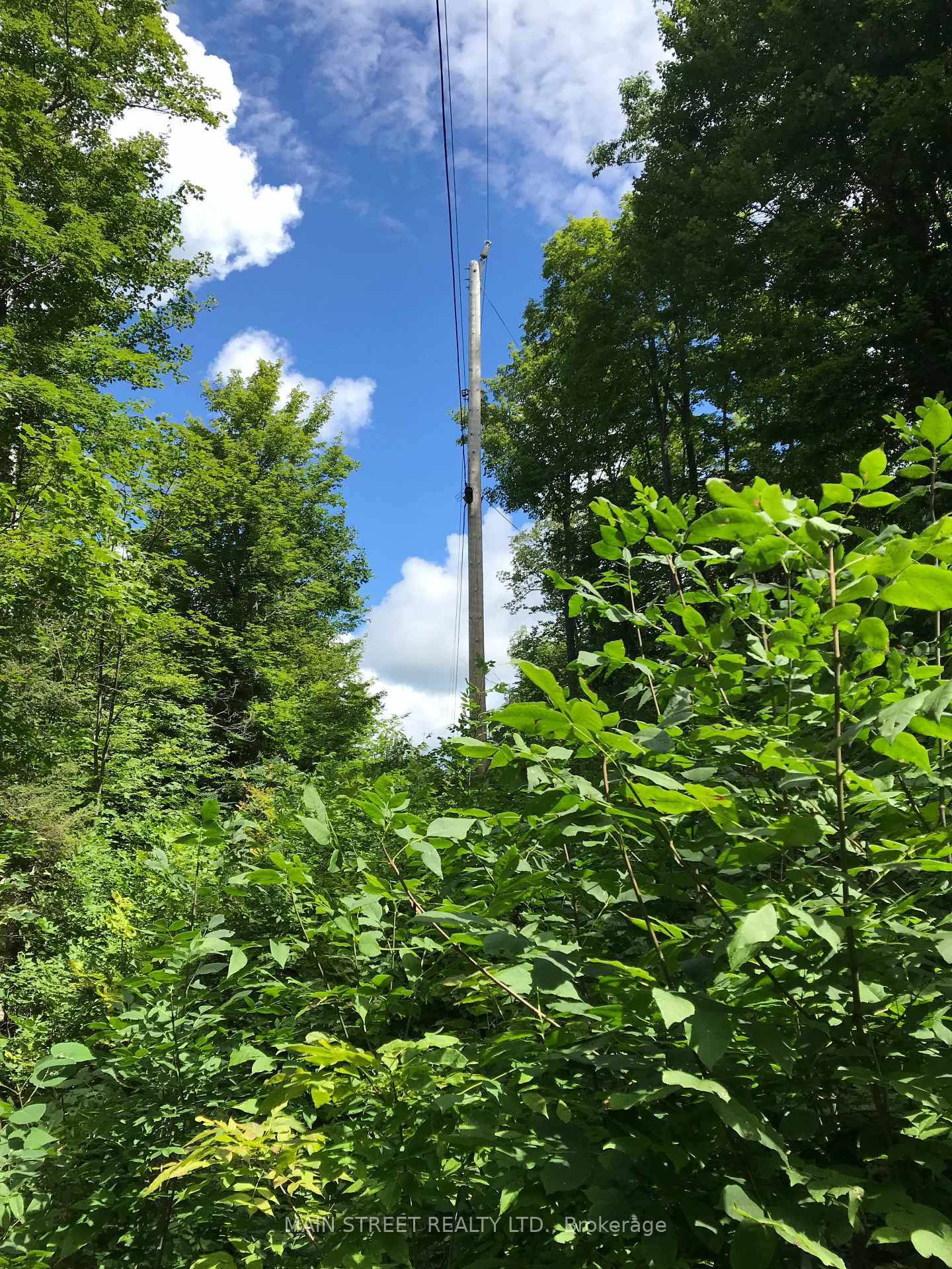 000 blanchards Road, Kawartha Lakes, ON K0M 2B0, Kawartha Lakes — photo 1