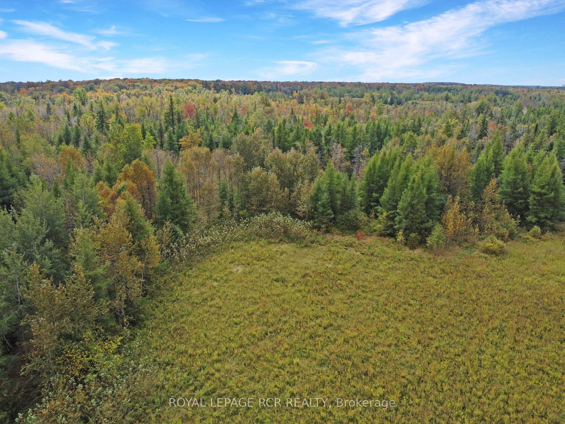1125XX GREY ROAD 14 Road, Southgate, ON N0C 1B0, Southgate — photo 1