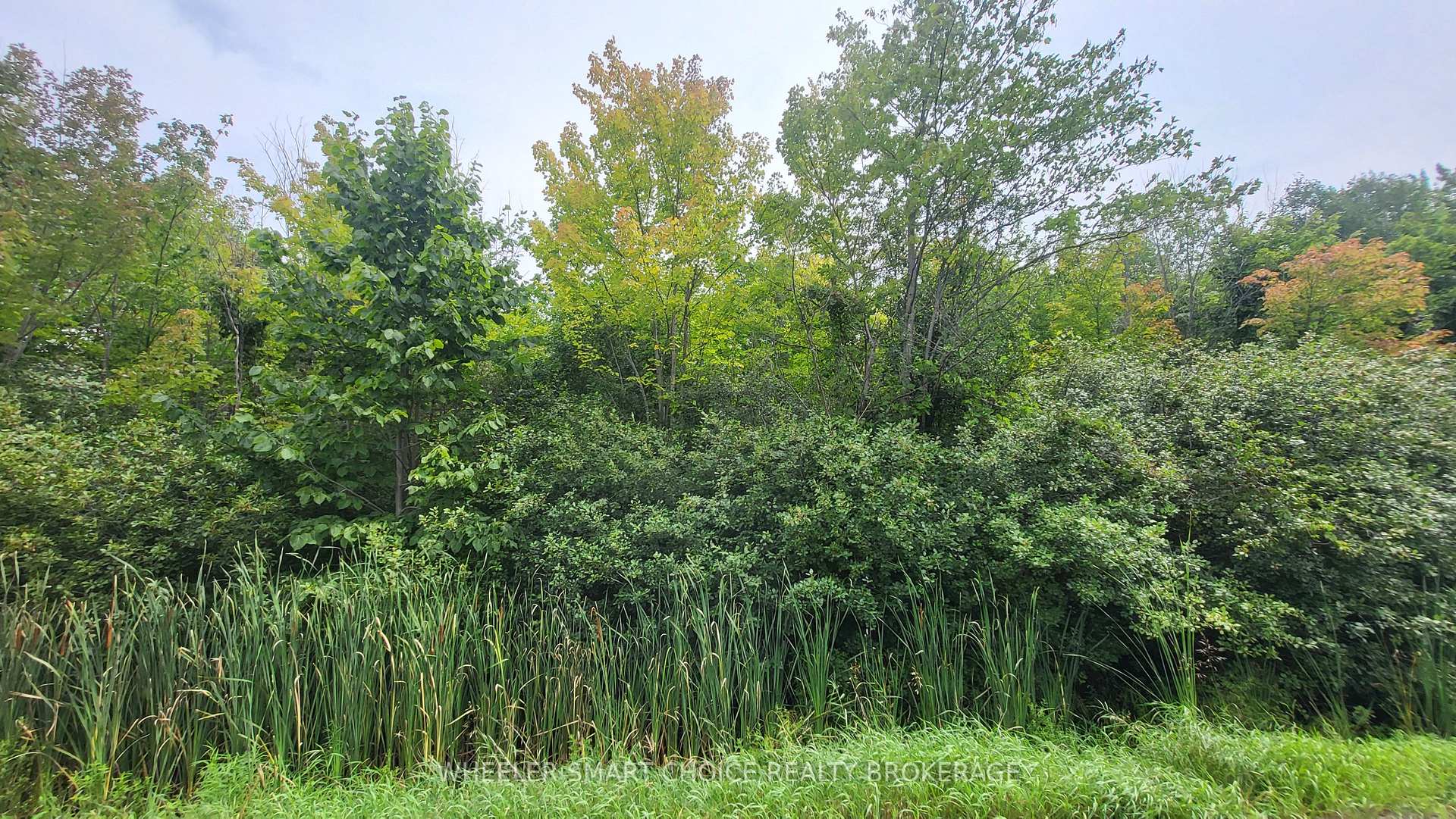 Lot 6 Tolmies Corners Road, North Stormont, ON K0C 1V0, North Stormont — photo 1