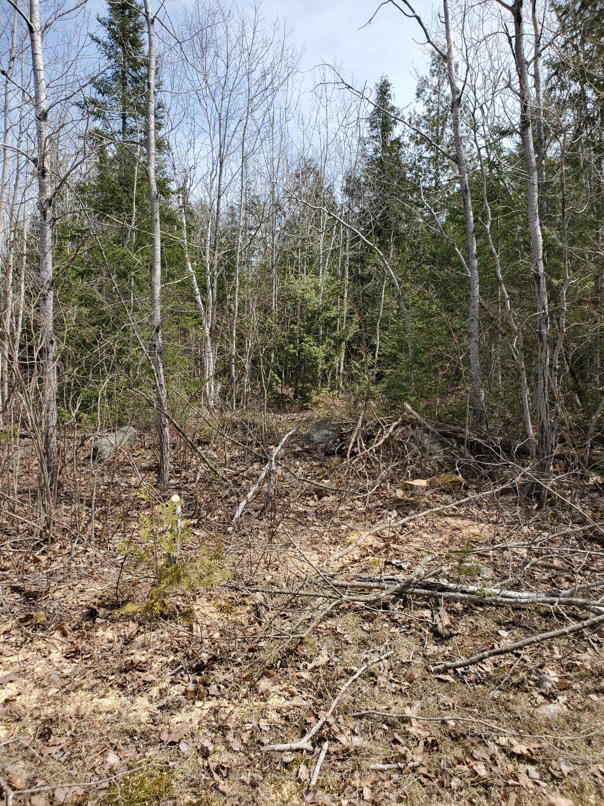 13476 N Hwy. 542 Highway, Gordon/Barrie Island, ON P0P 1H0, Gordon/Barrie Island — photo 1