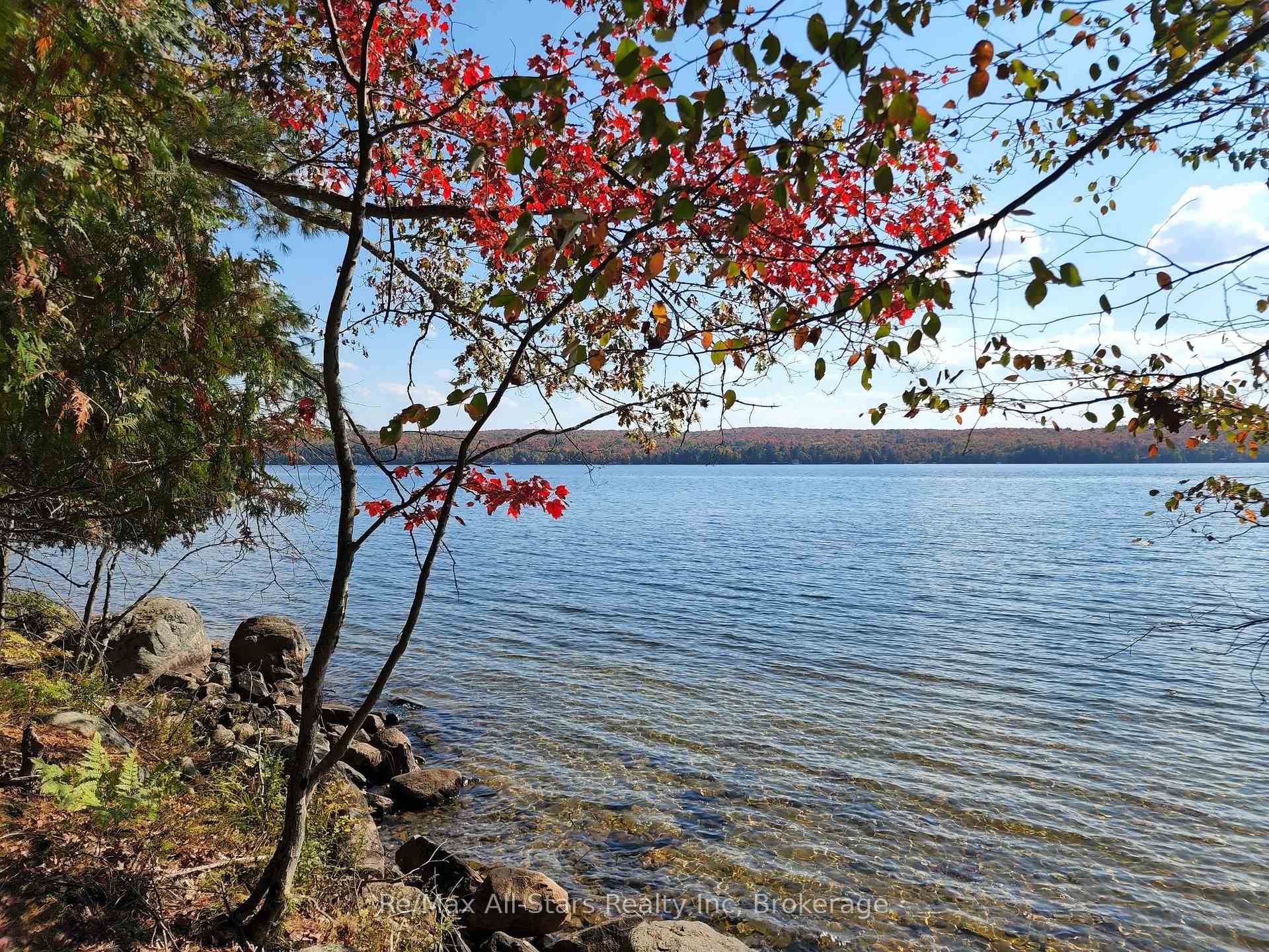 504 Bigwin Island, Lake of Bays, ON P0A 1H0, Lake of Bays — photo 1