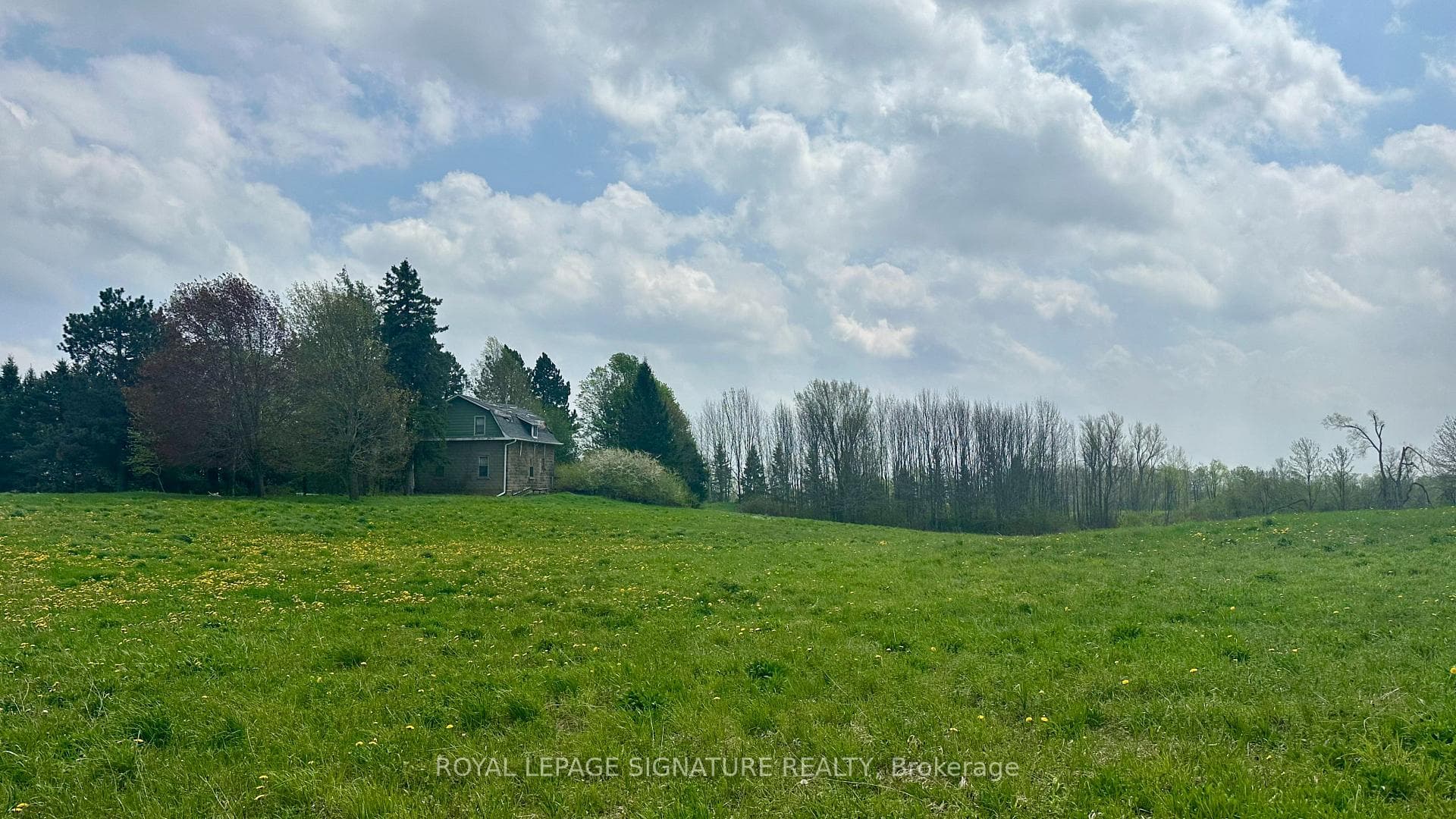 196300 Grey Road 7 Road, Grey Highlands, ON N4L 1W7, Grey Highlands — photo 1
