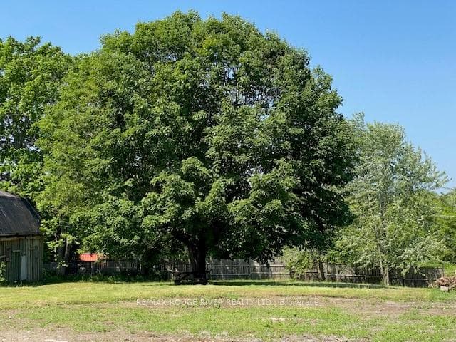 Part Ontario Street, Cramahe, ON K0K 1S0, Cramahe — photo 1