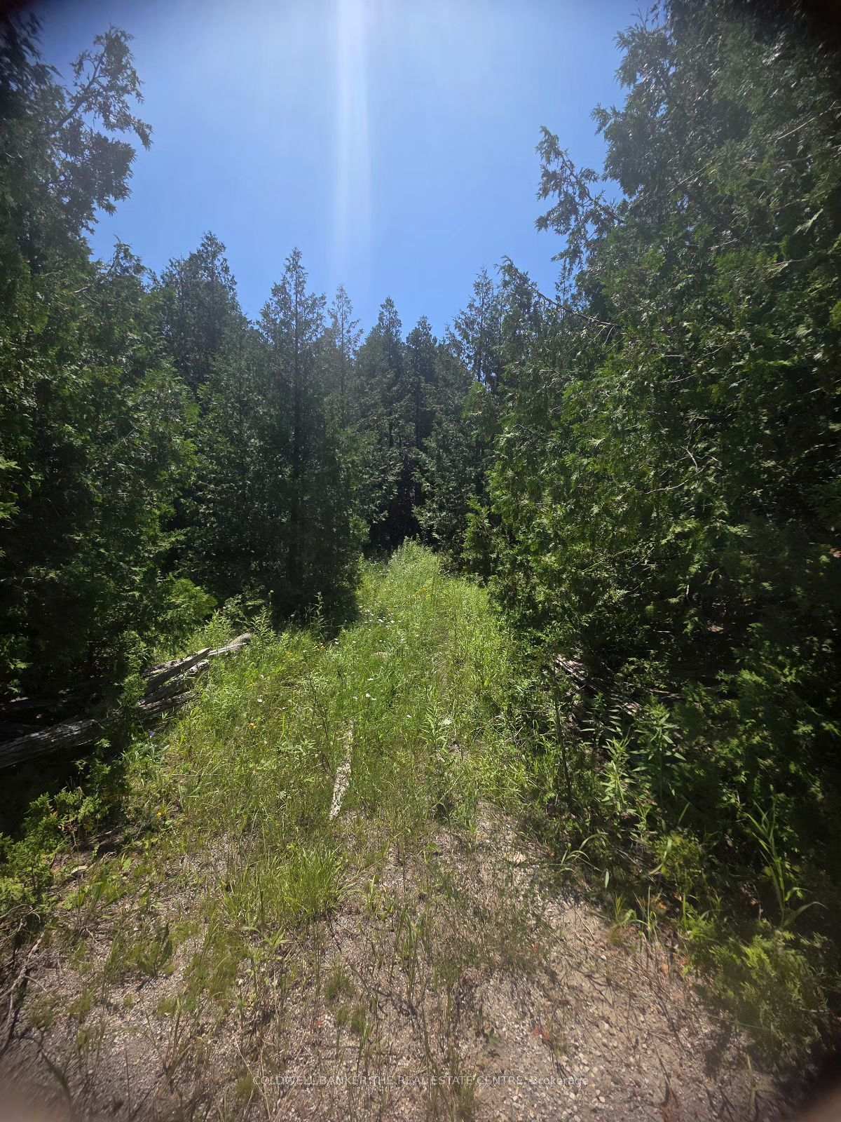 N/A W GOVERNMENT RD Acres W, Tehkummah, ON P0P 2C0, Tehkummah — photo 1