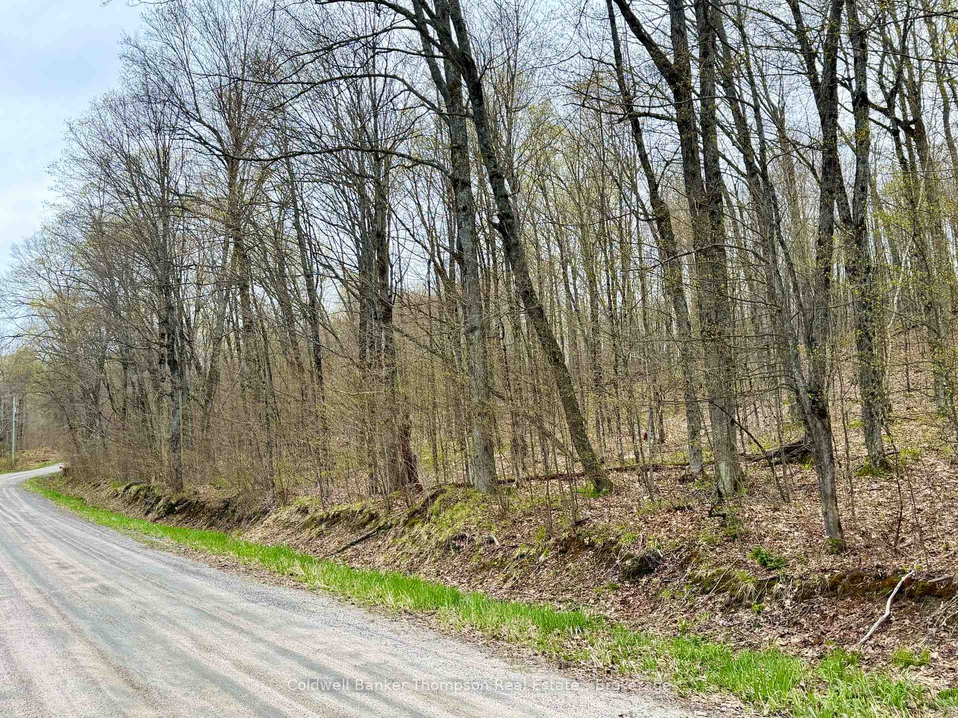 842 Seagull Lake Road S, Parry Sound Remote Area, ON P0H 1A0, Parry Sound Remote Area — photo 1