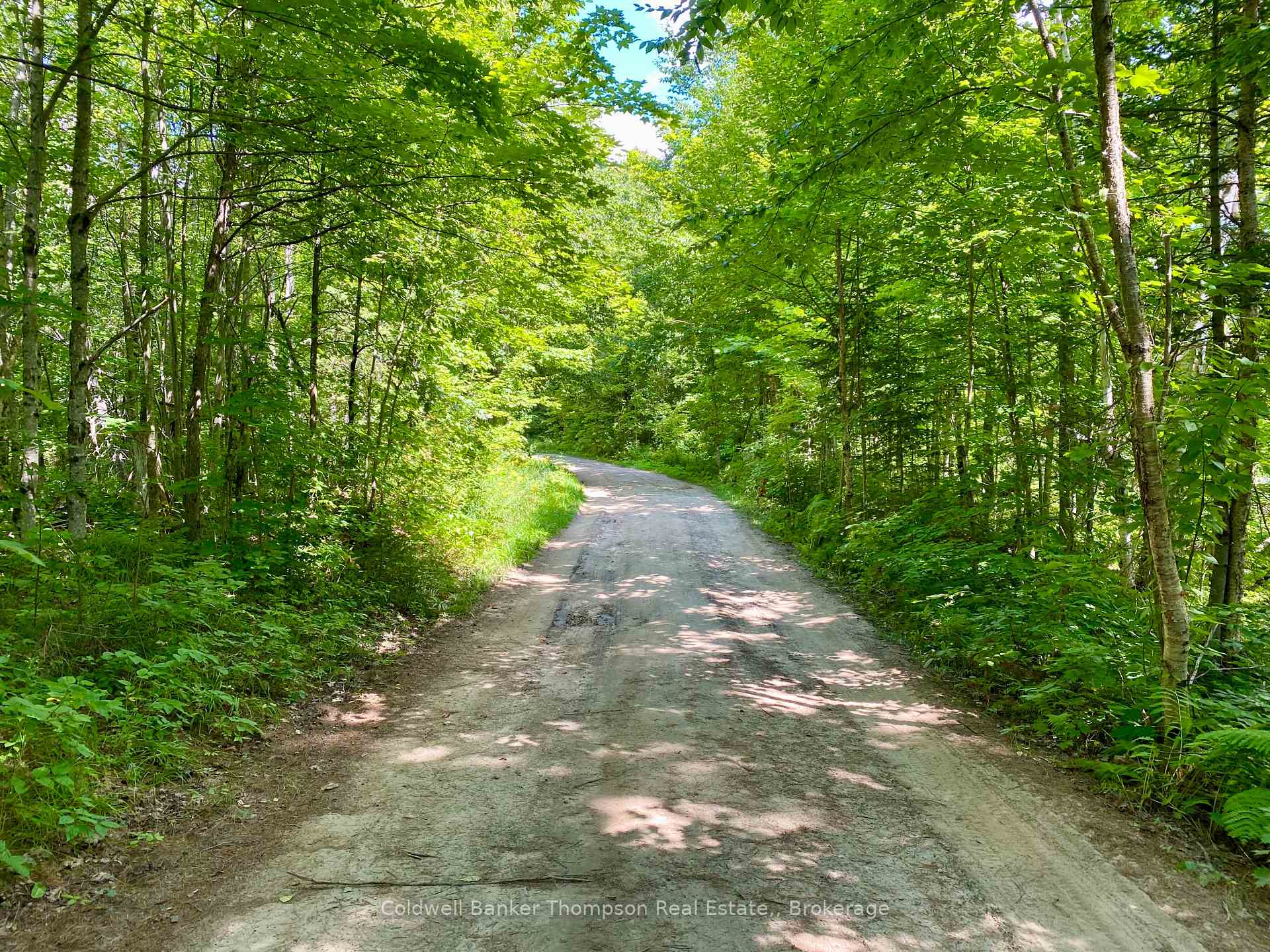 0 N Conc. RD 10 and 11 Concession N, Parry Sound Remote Area, ON P0H 1A0, Parry Sound Remote Area — photo 1