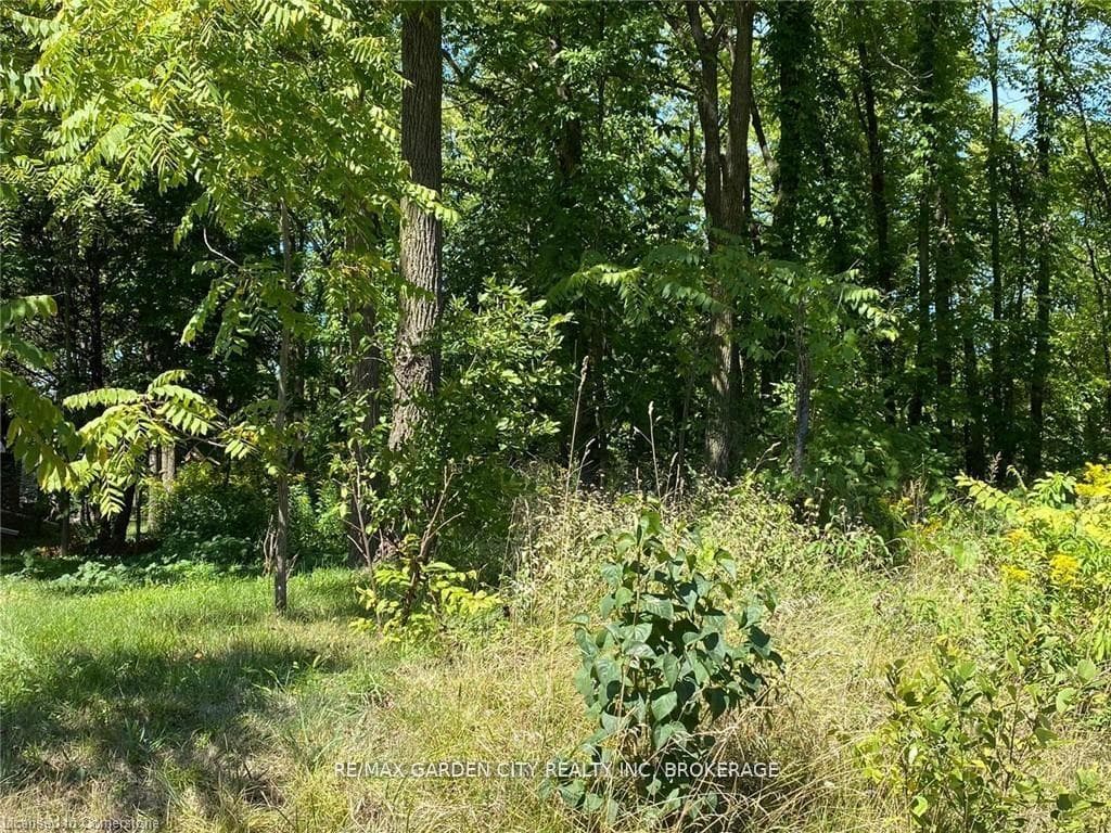 Pt Lt 3 Effingham Street, Pelham, ON L2R 6P7, Pelham — photo 1