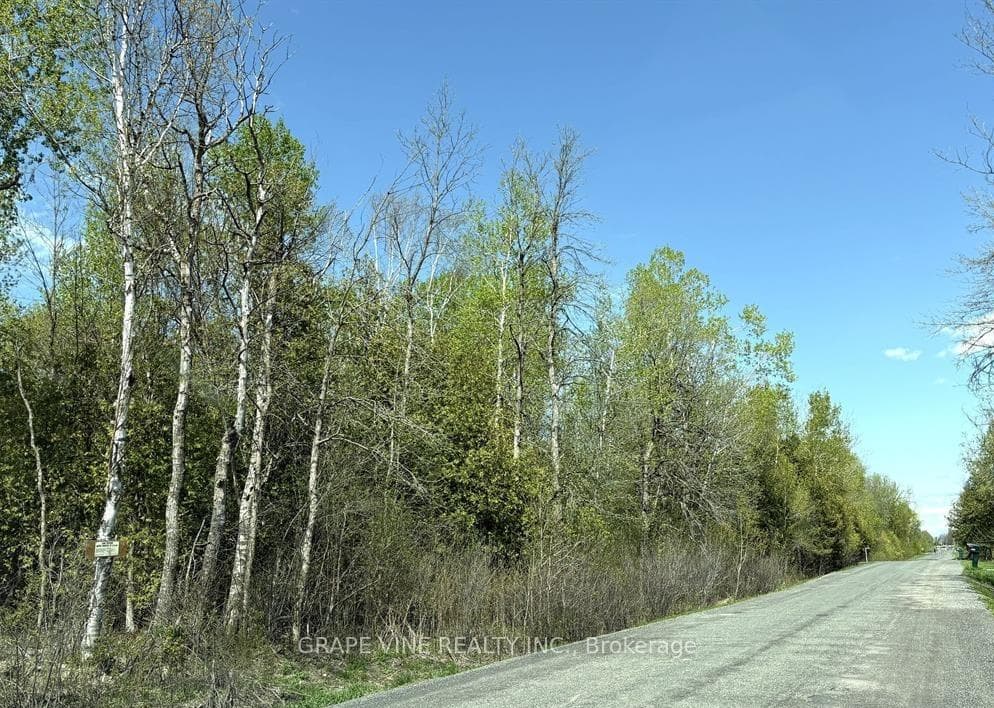 11865 (PtLt23) ARMSTRONG Road, North Dundas, ON K0C 2K0, North Dundas — photo 1
