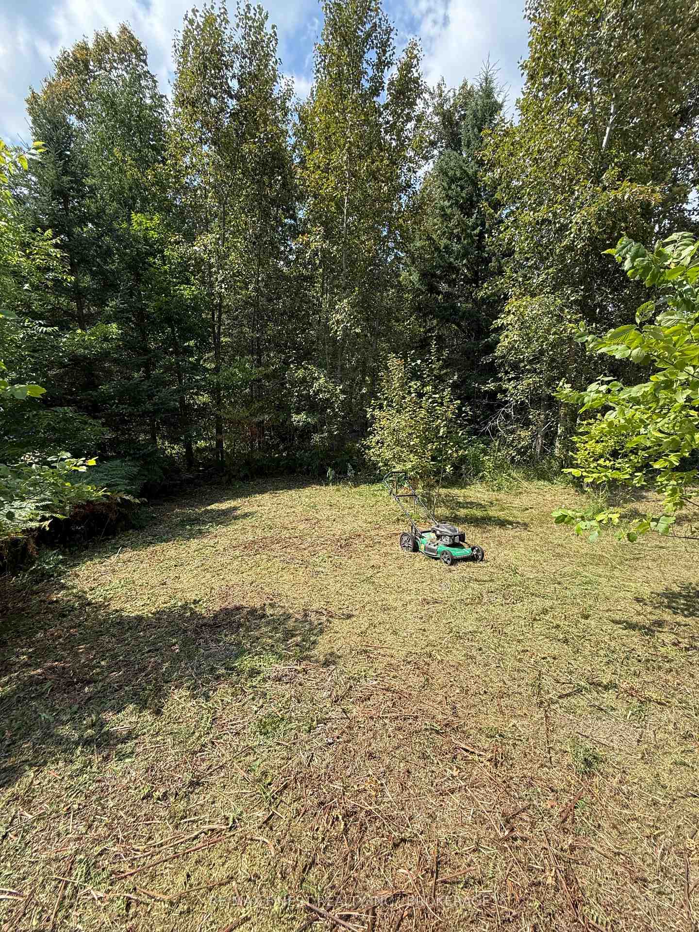 21508 Highway 41, Addington Highlands, ON K0H 1L0, Addington Highlands — photo 1