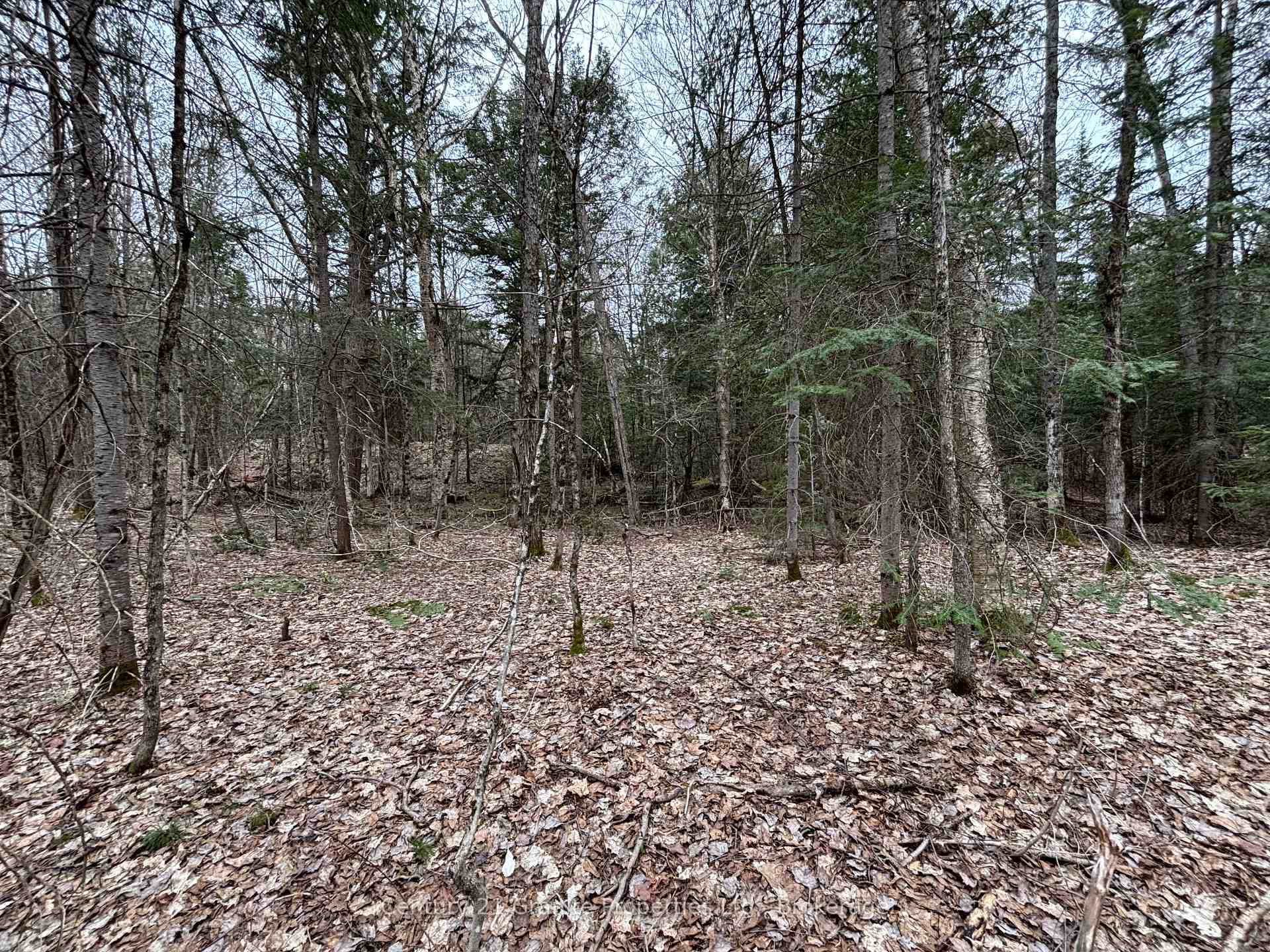 Lot 1 Loch Erne Road, McDougall, ON P2A 2W7, McDougall — photo 1