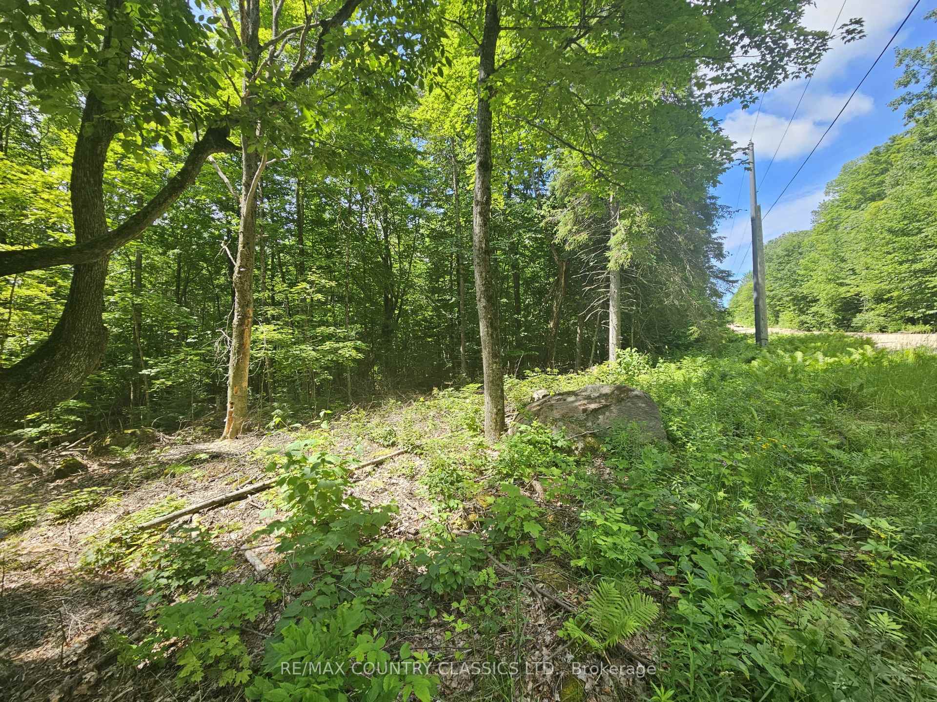 Pt Lt 22 O'Grady Settlement Road, Killaloe, Hagarty and Richards, ON K0J 2A0, Killaloe, Hagarty and Richards — photo 1