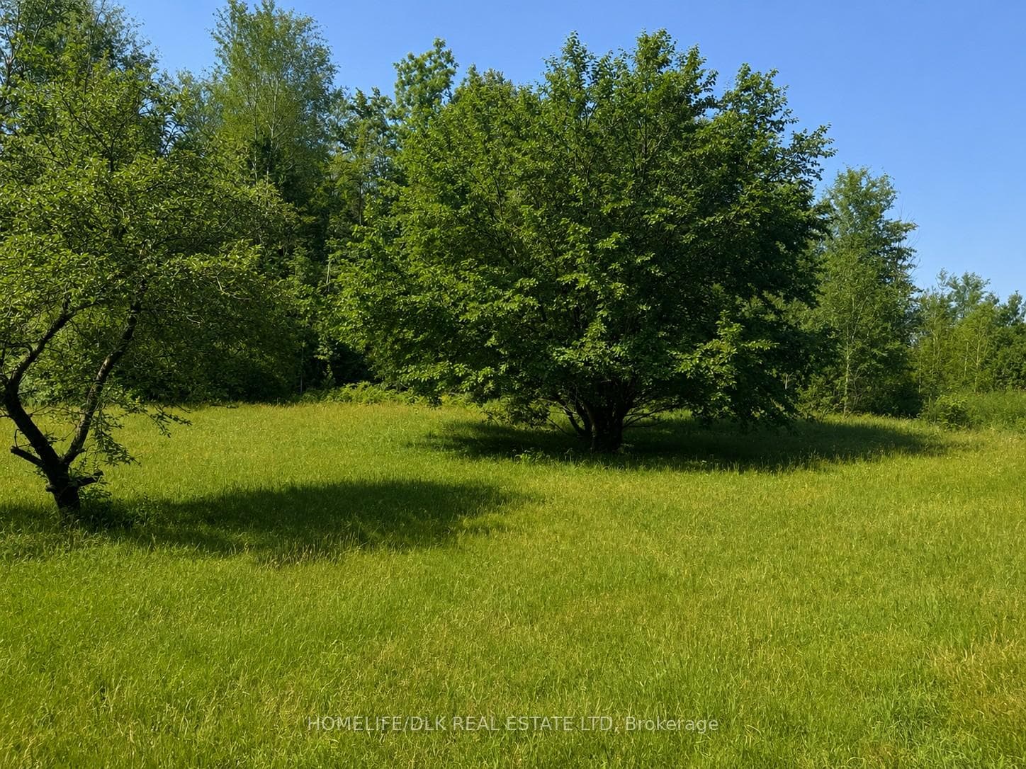 8300 Klitbo Road, Augusta, ON K0G 1R0, Augusta — photo 1