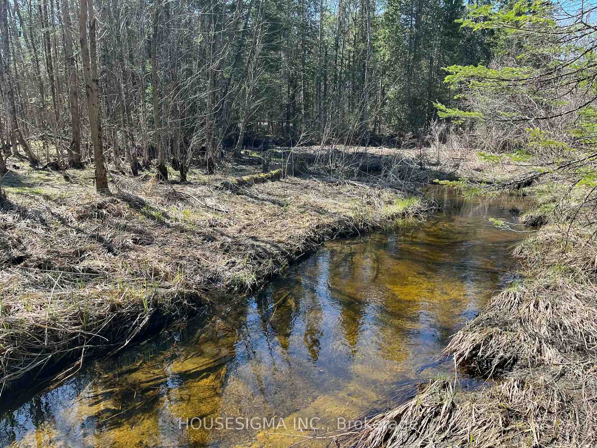 Con 14 PT Lot 17 Ward: 01 Buller Road, Kawartha Lakes, ON K0M 2L0, Kawartha Lakes — photo 1