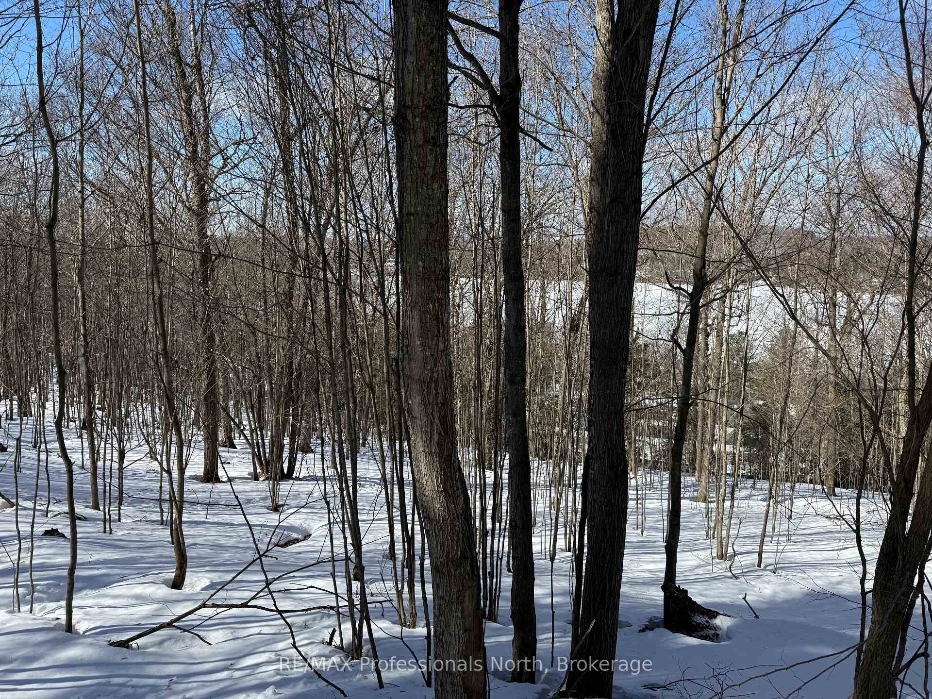 22 Walpole Street W, Huntsville, ON P1H 1V3, Huntsville — photo 1