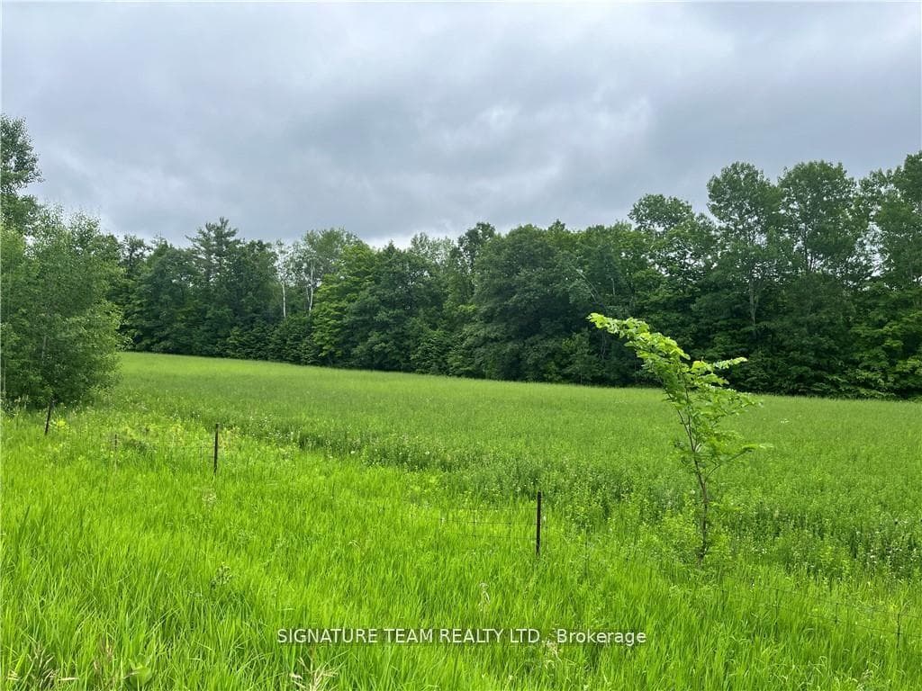 0 Grant Settlement Road, Whitewater Region, ON K0J 1V0, Whitewater Region — photo 1