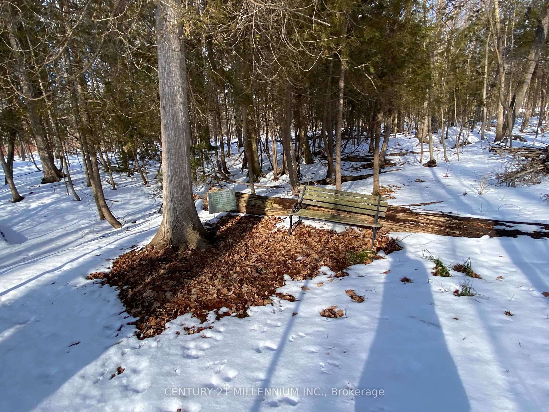 11 Knox Road E, Wasaga Beach, ON L9Z 2T6, Wasaga Beach — photo 1