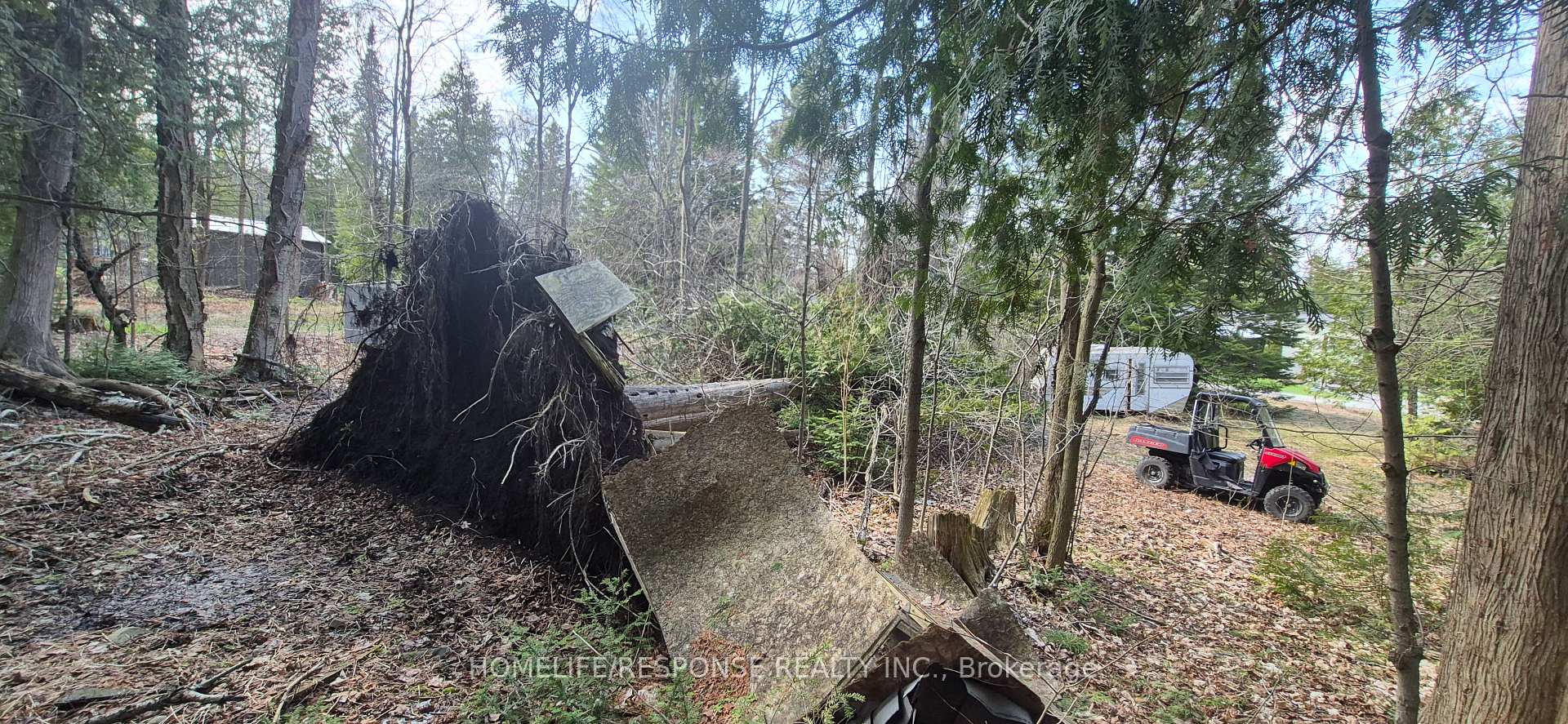 48 WALDWEG, Scugog, ON L0B 1B0, Scugog — photo 1