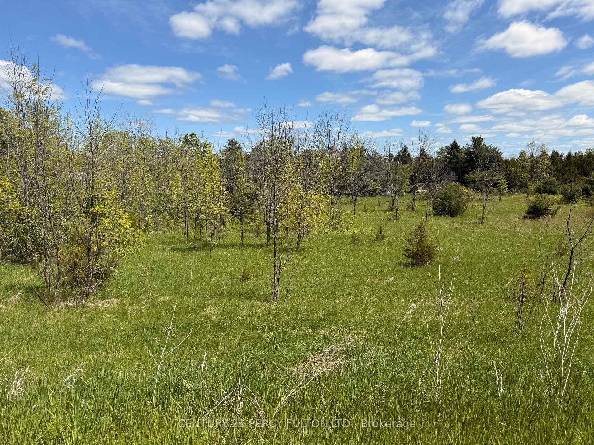 LOT 55, 56 &57 COUNTY RD 25, Trent Hills, ON K0K 3K0, Trent Hills — photo 1