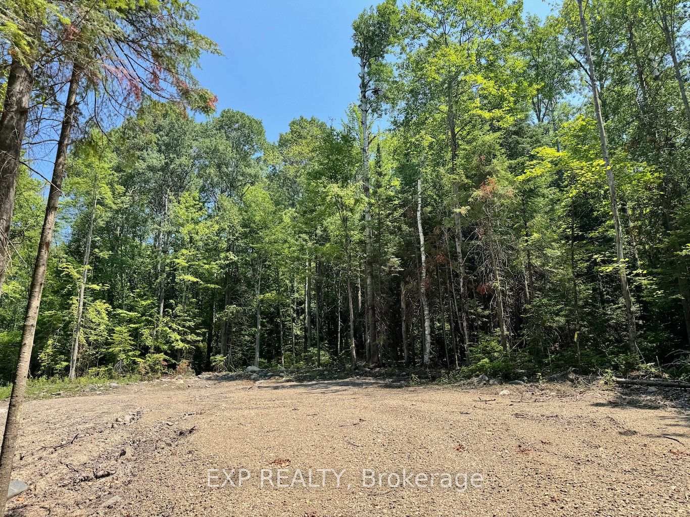 Lot 8 Lakewoods Drive, Madawaska Valley, ON K0J 1B0, Madawaska Valley — photo 1