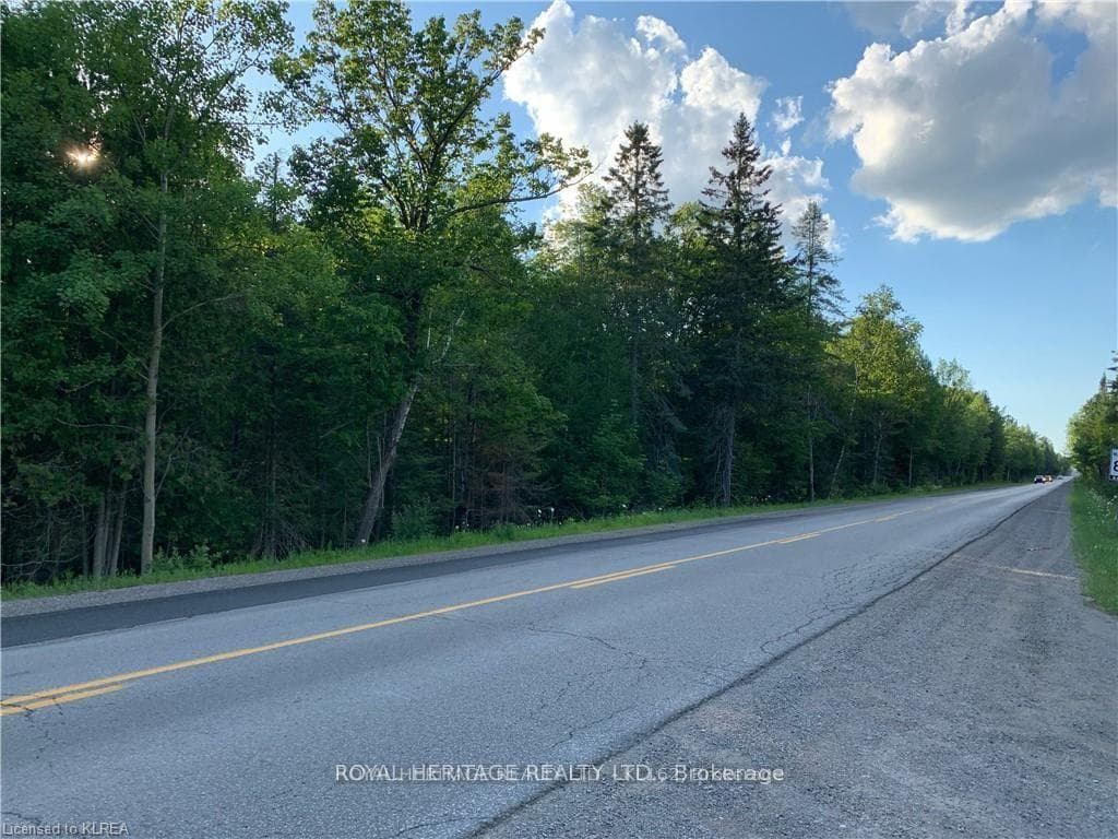 0 PT LT 32 COUNTY ROAD 49 Road, Trent Lakes, ON K0M 1A0, Trent Lakes — photo 1